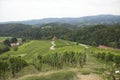 View on ÃÂ piÃÂnik in Slovenia with its heart-shaped road through the vineyards